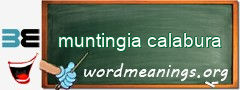 WordMeaning blackboard for muntingia calabura